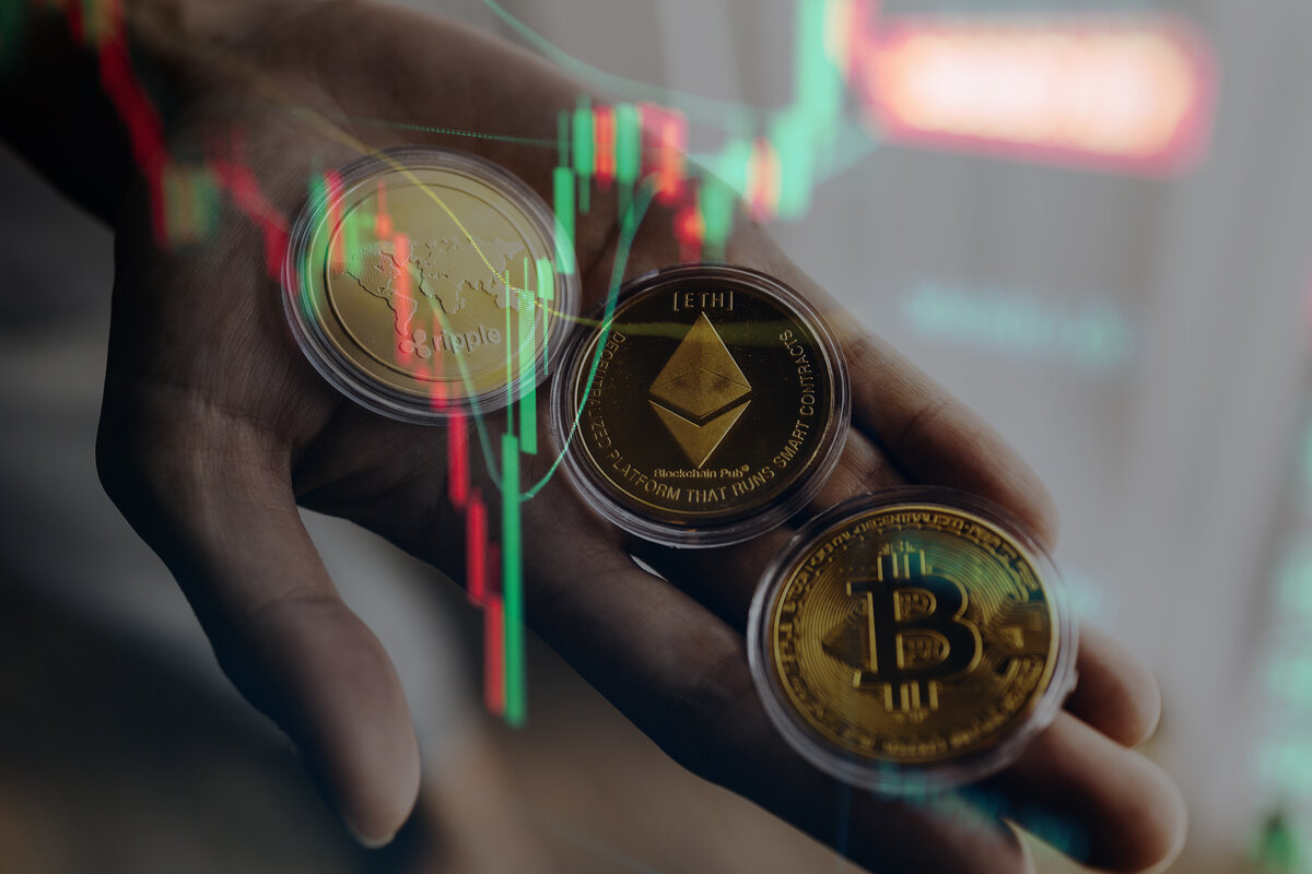 Daily Update on Indexes Like Fear and Greed in Crypto and Casino Tokens
