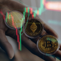 Daily Update on Indexes Like Fear and Greed in Crypto and Casino Tokens